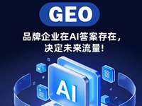 GEO搜索优化品牌企业服务商合作实力参考
