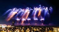 2026年口碑好的景区焰火秀定制厂家，熊猫烟花上榜