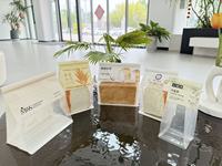 天津资质齐全的烘焙独立包装手套制造厂家 靠谱加工厂哪家好