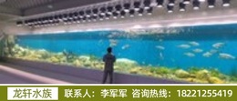 能定制各类造型水族馆结构的工程公司，资质齐全广受信赖