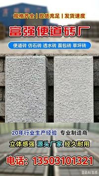 2026年邯郸植草砖厂家综合实力与市场占有率分析报告