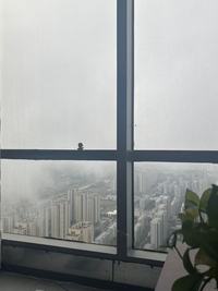 阜阳牛算财税公司注册代办服务商实力与用户口碑