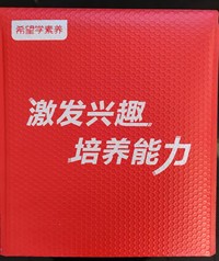 来图来样定制印刷气泡袋厂家哪家能做气泡卷膜与防冲撞气泡袋源头工厂推荐