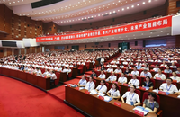 旅行社正规公司推荐：龙岩建发·含出境游线路与境外地接服务·资质齐全